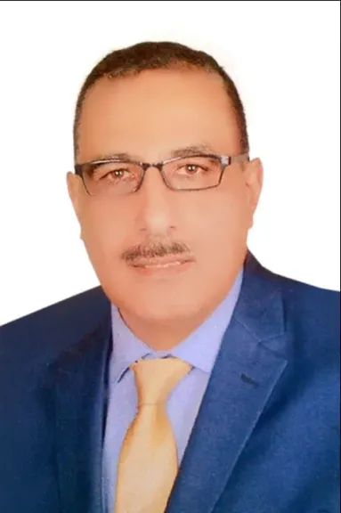 الشناوى يوضح معوقات انشاء مشاريع الطاقه الشمسيه في مصر