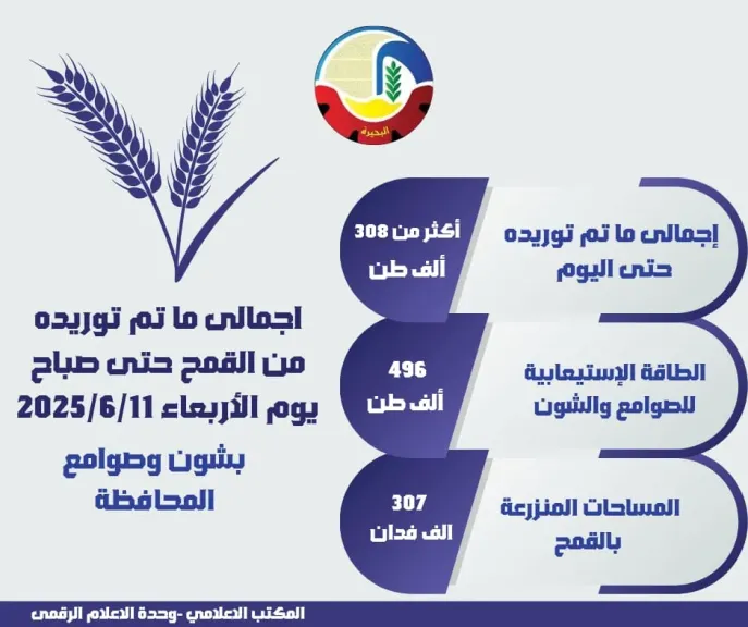 البحيرة تتجاوز 308 ألف طن قمح مورّد للشون والصوامع المحافظة حتى صباح اليوم