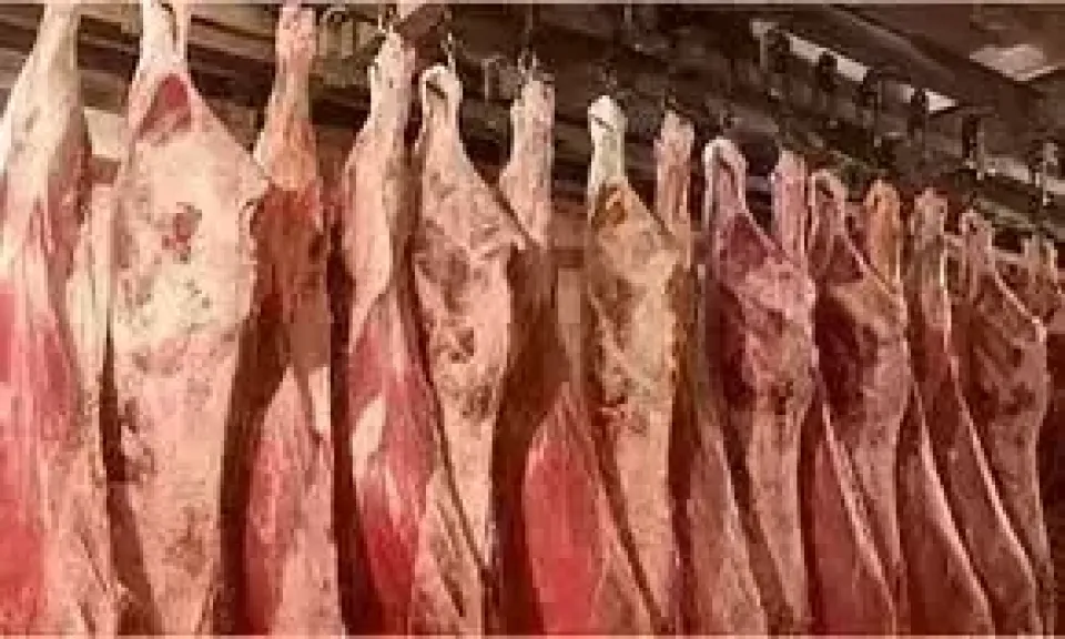 تفاصيل أسعار اللحوم الحمراء بالاسواق