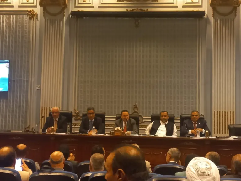 رئيس زراعة النواب: طفرة في المحاصيل الاستراتيجية بعد تحديد أسعار التوريد