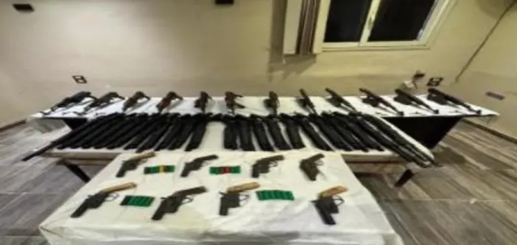 ضبط فيها 54 متهمًا.. تفاصيل حملة أمنية على تجارة المخدرات وحائزي الأسلحة النارية بأسيوط