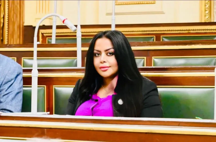 نيفين حمدي توافق على الموازنة العامة للدولة2025/2026.. وتشيد بتوصيات خطة النواب