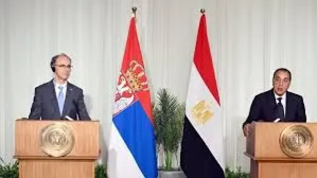 أحمد الوكيل: بفضل الإصلاحات أصبحت مصر مرة أخرى أرض الفرص الواعدة
