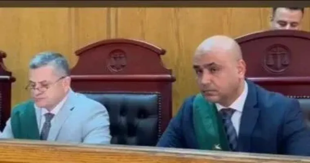 السجن المشدد 6 سنوات لربة منزل وآخر بتهمة التعدى على طفل