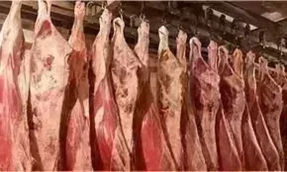 تعرف على اسعار اللحوم بالاسواق