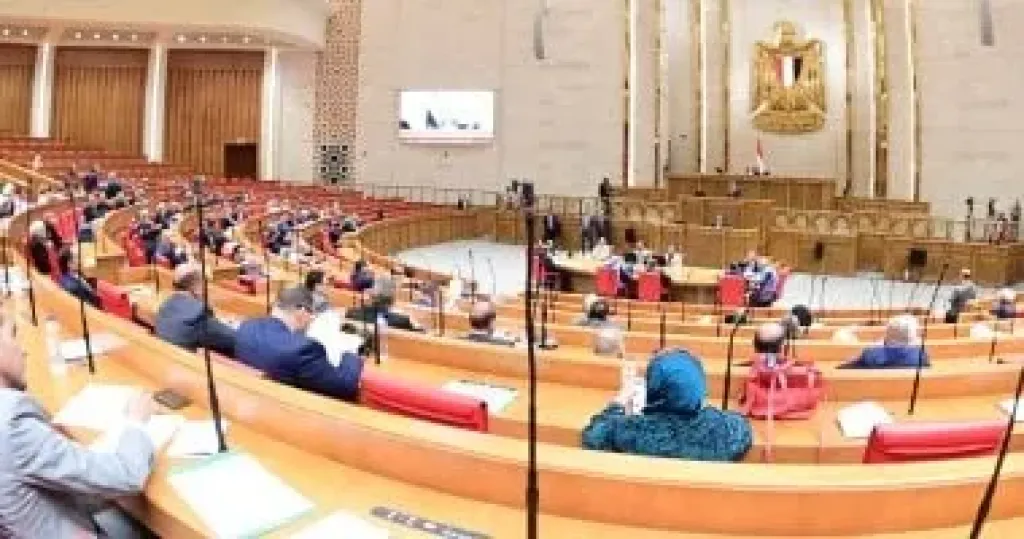 محظورات وممنوعات فى دعاية انتخابات البرلمان.. فيديو