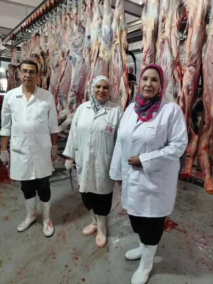 ”الزراعة”: حملات بيطرية متكاملة لحماية الثروة الحيوانية وضبط لحوم فاسدة بعدة محافظات