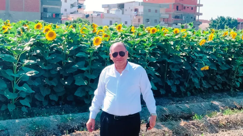 وكيل زراعة البحيرة وسط زراعات دوار الشمس و بطيخ اللب بسيدى غازى للاطمئنان على المحصول