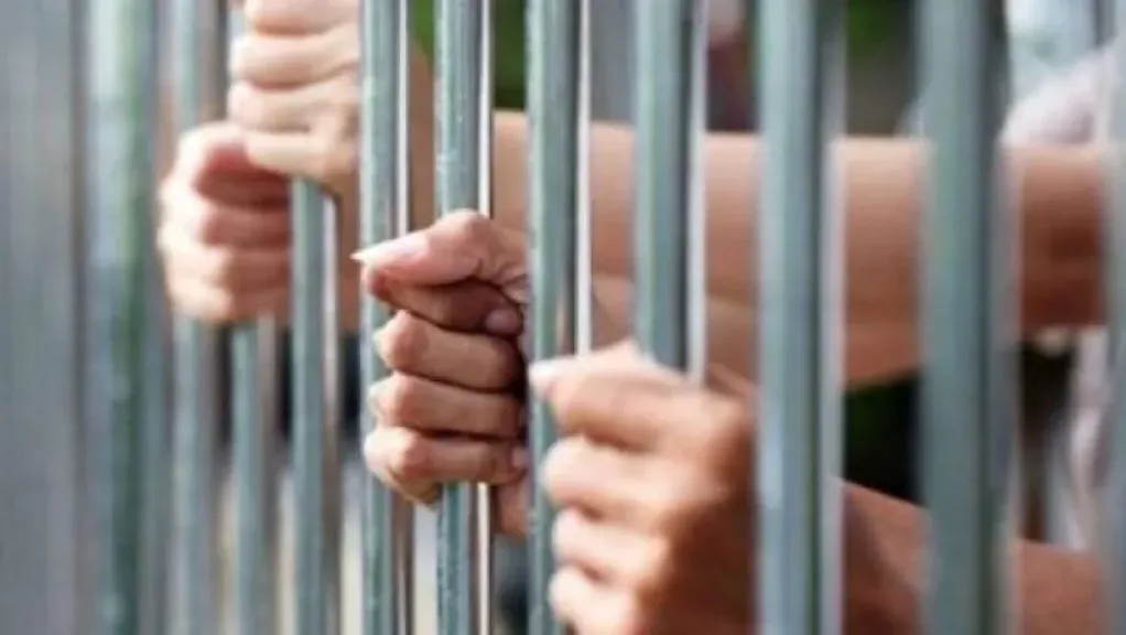 حبس قاتلي طبيب طنطا 4 أيام على ذمة التحقيق