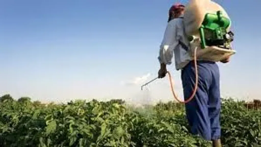 تراجع نسبة المبيدات شديدة الخطورة في مصر إلى 3.5 %