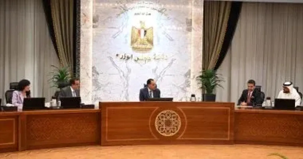 رئيس الوزراء يستعرض مع رئيس ”برجيل القابضة” التعاون فى مجال زرع النخاع