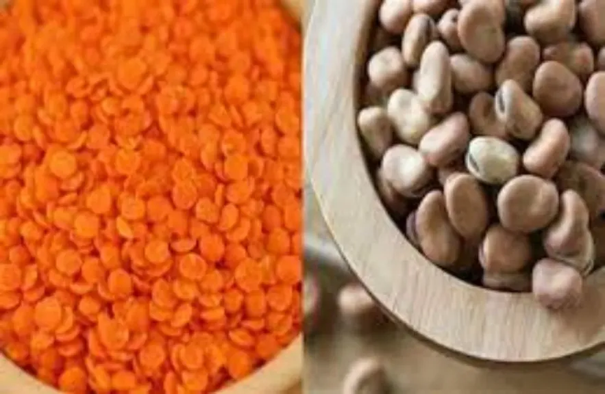انخفاض أسعار الفول والزيت بالأسواق اليوم الأربعاء