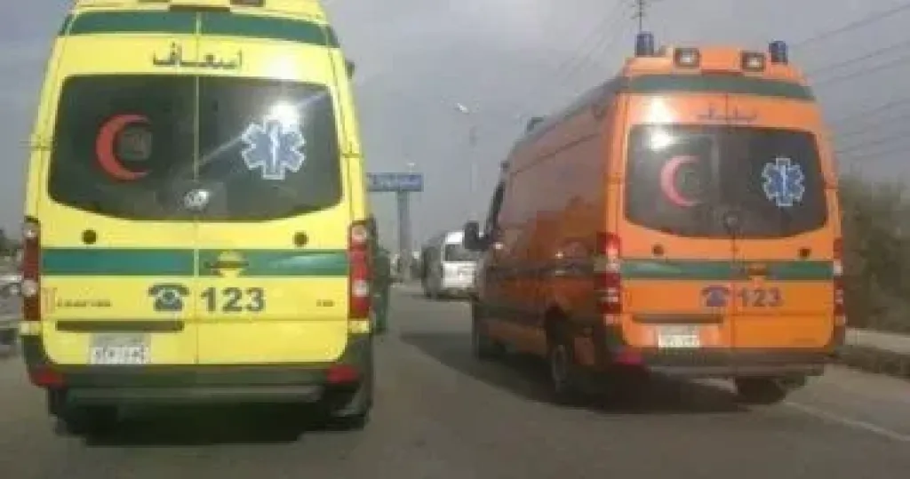 مصرع شخصين وإصابة 9 آخرين فى انقلاب ميكروباص بطريق أسيوط الغربى