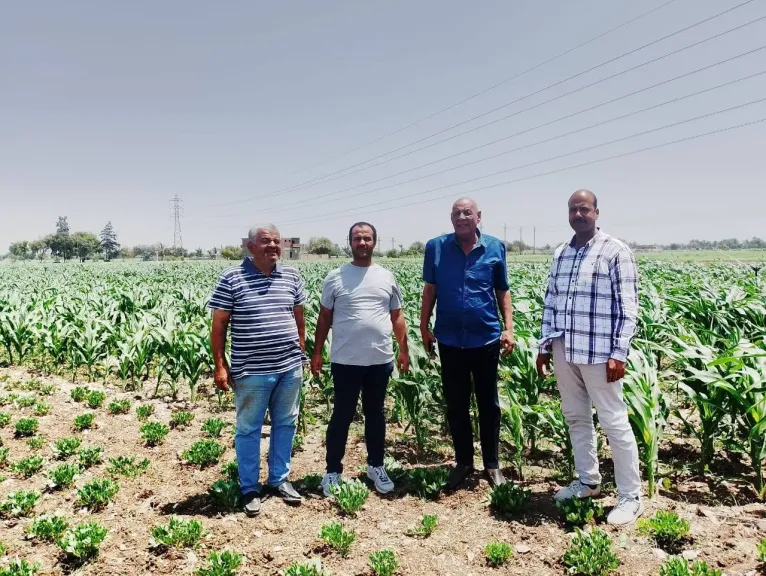 محافظ أسيوط يؤكد أهمية متابعة الزراعات بالمراكز والقرى