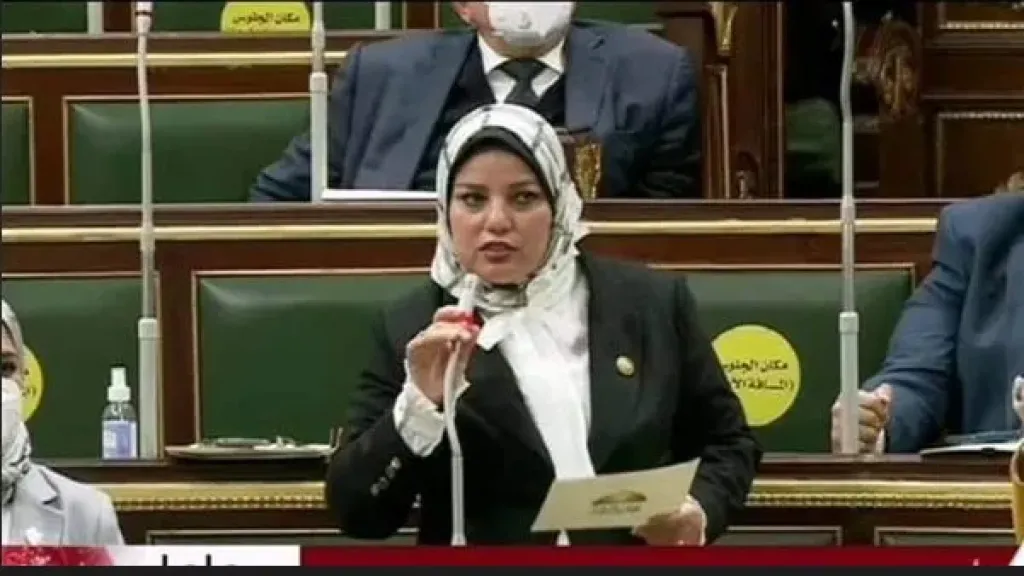 النائبة سلمى مراد: تطالب بتشكيل لجنة تقصي حقائق بعد حادث الطريق الاقليمى