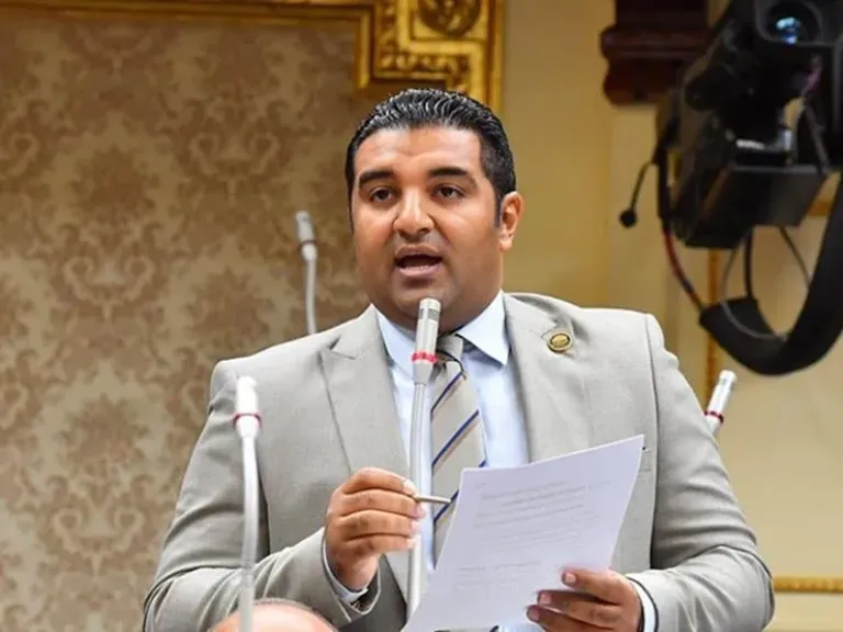 النائب محمود عصام يطالب بمعايير واضحة فى تحديد اسعار تقنين وضع اليد بمنطقة مرغم الصناعية