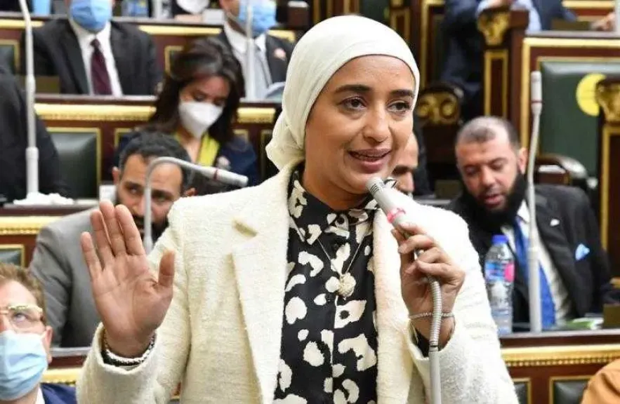 أميرة أبو شقة ترفض قانون الإيجار القديم وتطالب برحيل الحكومة