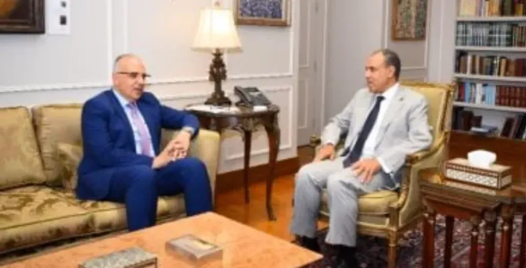 وزير الخارجية والهجرة يستقبل وزير الموارد المائية والرى