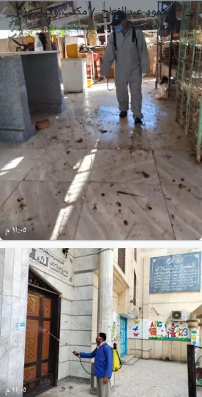 صحة الشرقية تكثف جهودها في مكافحة الذباب والبعوض وناقلات الأمراض بالمحافظة