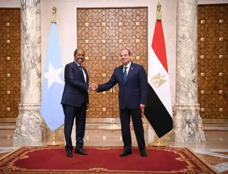 ماذا يناقش الرئيس السيسي ونظيره الصومالي في العلمين اليوم؟
