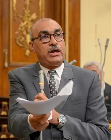 النائب إيهاب منصور يوجه انتقادات لاذعة : الحكومة تسقط في اختبار السلامة
