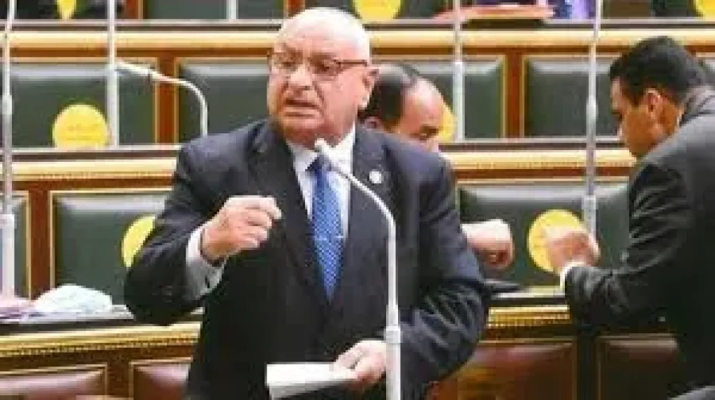النائب محمد أبو زيد في ختام دور الانعقاد الخامس: هدفنا أغلبية ومعارضة مصلحة الوطن والمواطن