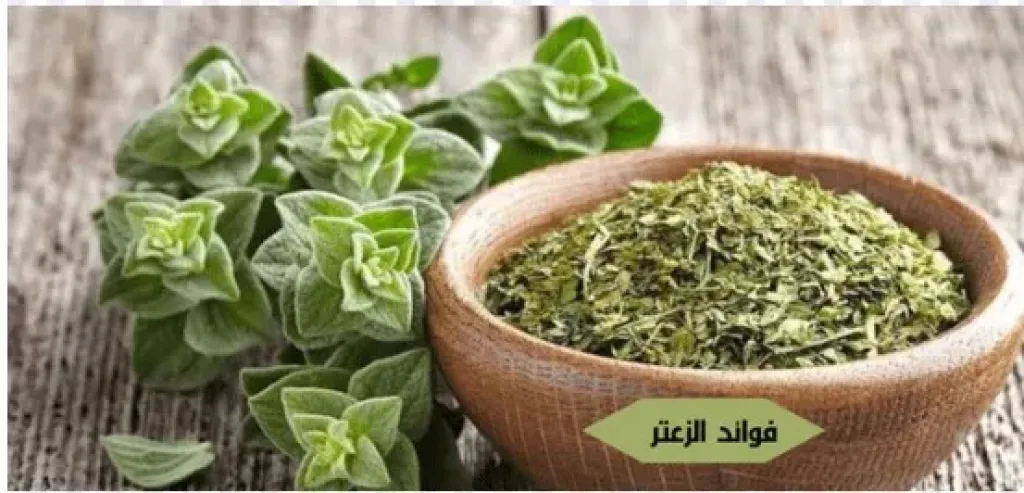 فوائد الزعتر
