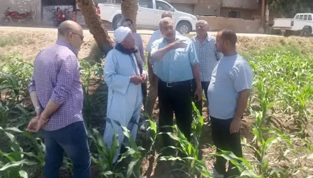 محافظ أسيوط: استمرار متابعة إنتاجية المحاصيل الزراعية بالمراكز