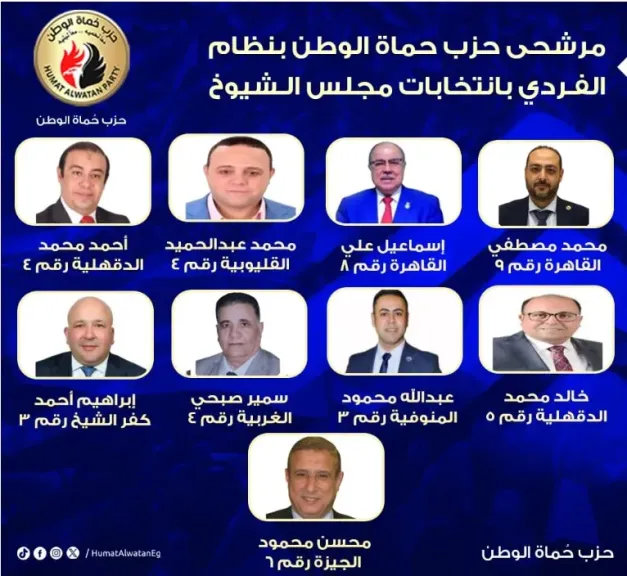 مرشحى حماة الوطن