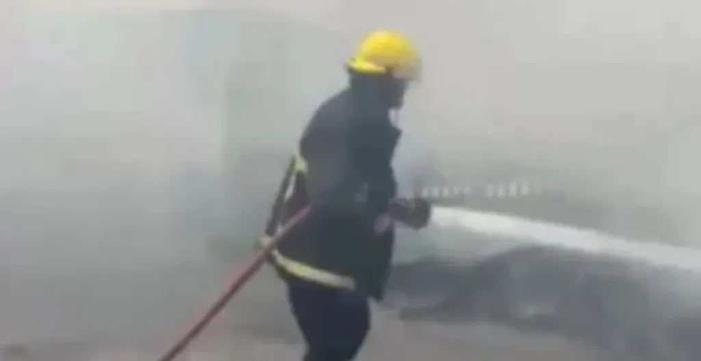 نفوق عدد من رؤوس الماشية فى حريق حظيرة بالواحات البحرية