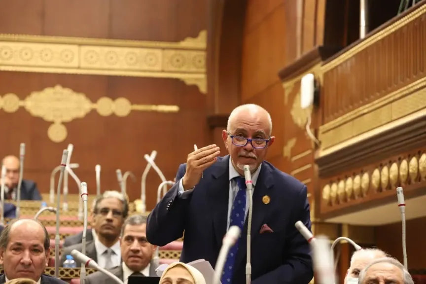 الجندي: كلمة الرئيس السيسي في القمة التنسيقية وضعت الرؤية لتنفيذ الأجندة التنموية
