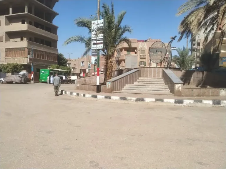 محافظ أسيوط: رفع المخلفات والقمامة خلال حملات نظافة