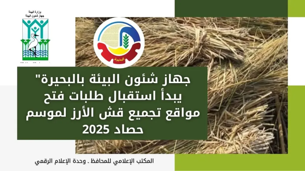 لمواجهة السحابة السوداء شئون البيئة بالبحيرة يبدأ استقبال طلبات فتح مواقع تجميع قش الأرز لموسم حصاد الأرز