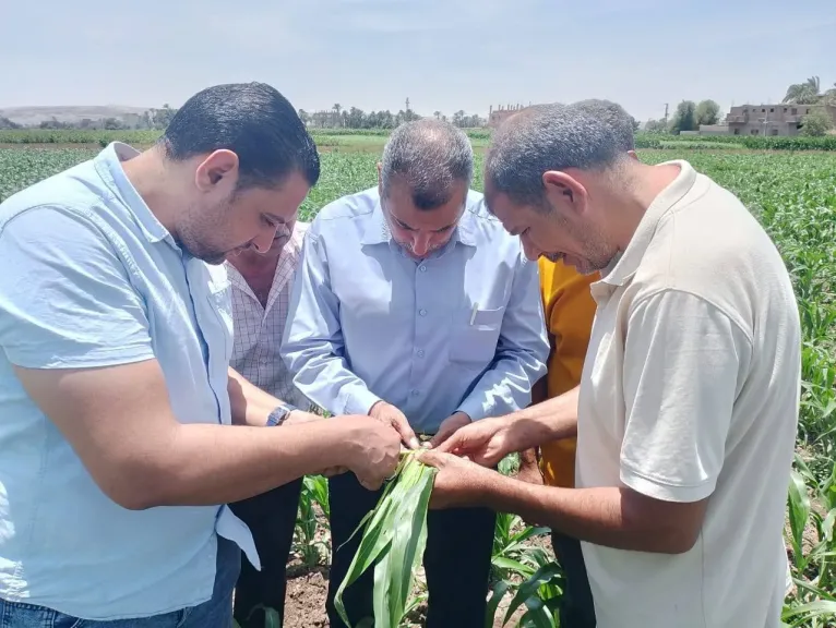 محافظ أسيوط يشدد على تكثيف متابعة الزراعات وتقديم الدعم للمزارعين