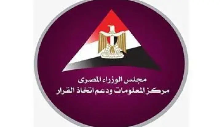 مصر أصبحت سوقًا أكثر جاذبية لتجميع السيارات.. معلومات الوزراء يستعرض تقرير وكالة فيتش عن قطاع السيارات