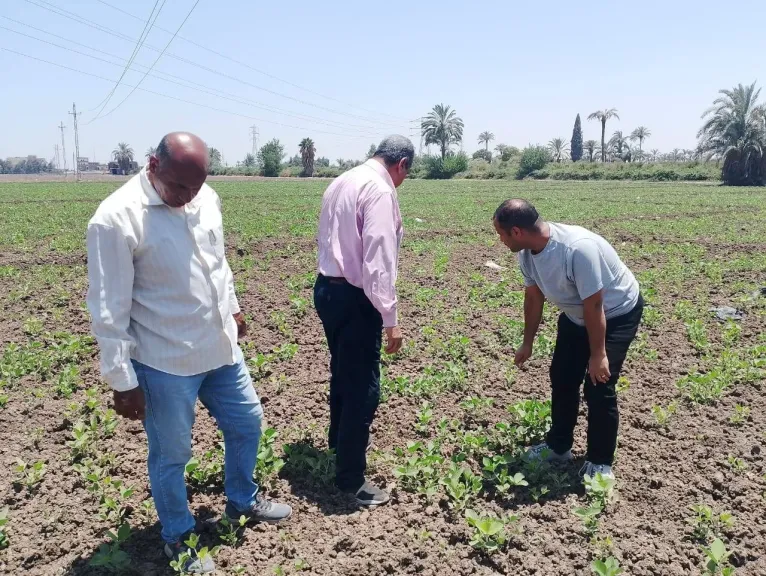 محافظ أسيوط يوجه بالمتابعة الدورية للزراعات.. ووكيل وزارة الزراعة