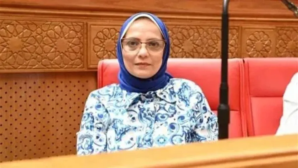 النائبة نجلاء العسيلي: مصر لن تسقط.. وتحركات الداخلية رسالة حاسمة لأعداء الوطن