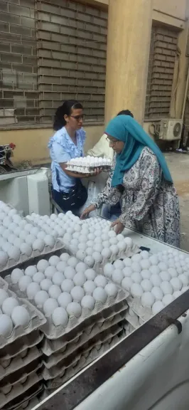 ”الزراعة” تطلق منافذ متنقلة لبيع منتجاتها الغذائية للمواطنين بأسعار مخفضة في محافظة الجيزة