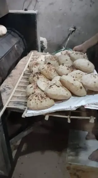 محافظ أسيوط: 282 محضر متنوع خلال حملات تموينية على المخابز البلدية
