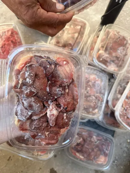 محافظ أسيوط: الطب البيطري يواصل حملاته الرقابية على الأغذية