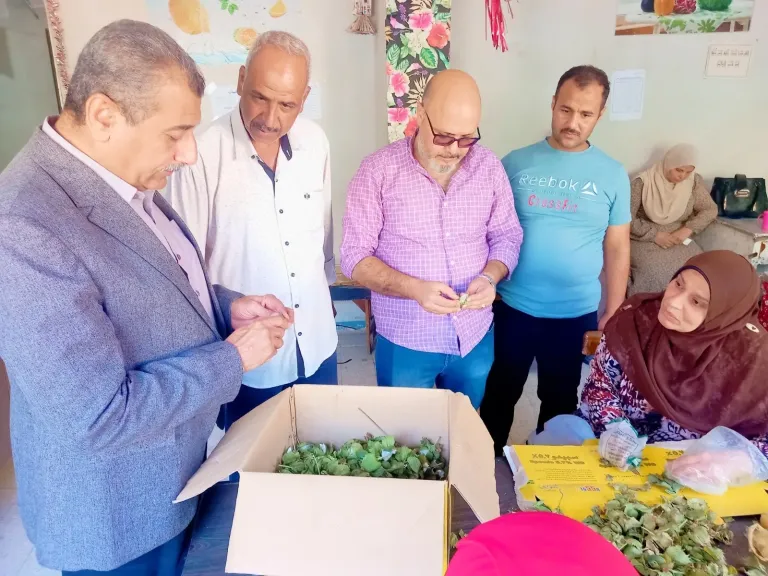 محافظ أسيوط يوجه بتكثيف الحملات لمتابعة المحاصيل وحماية الأراضي