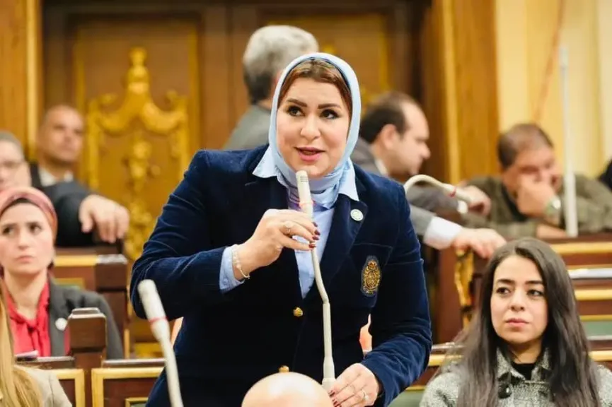 النائبة نيفين الكاتب: مصر تدعم فلسطين بالمواقف والمساعدات.. ونرفض استغلال الجماعة الإرهابية للقضية لتشويه الدولة