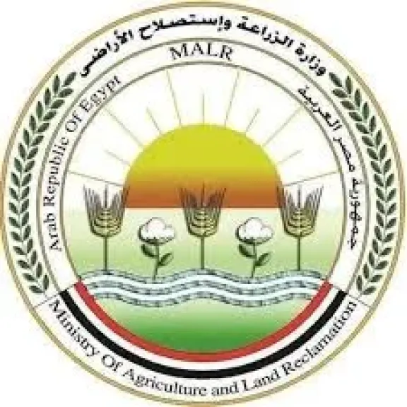 «الزراعة» تعلن عن موافقة الاتحاد الأوروبي على تيسير إجراءات تصدير البطاطس المصرية إليها
