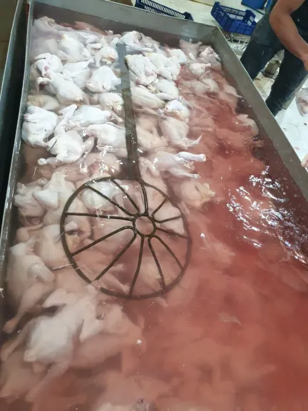 بيطرى الشرقية يضبط غير مُرخص ٦ طن لحوم