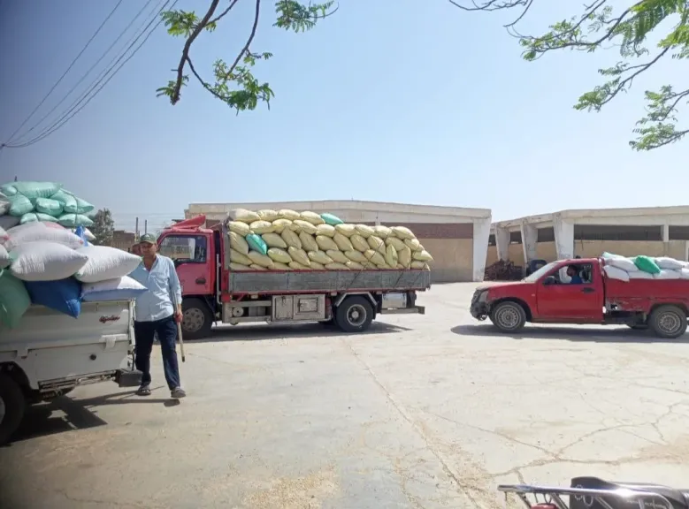 محافظة الشرقية تنتهي من توريد ٦٠٣٣٥١طن و١١كيلو قمح محلي