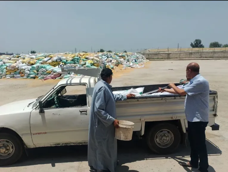محافظ الشرقية: استمرار تدفق الاقماح لشون وصوامه الشرقية