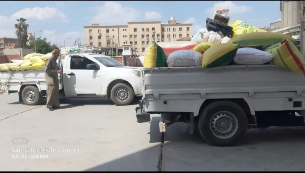 البحيرة تختتم موسم توريد القمح بإجمالى 318 ألف طن
