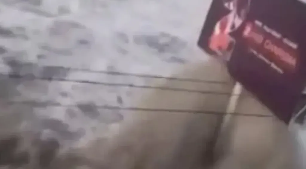 الأرصاد الجوية اليابانية تحذر من احتمالية حدوث تسونامي عقب زلزال بقوة 7.4 درجة