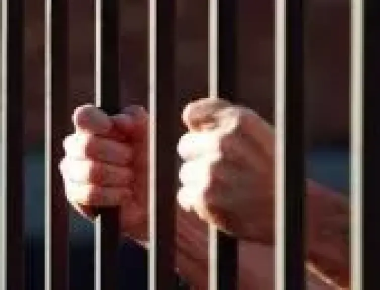معاقبة مشجع نادى مالية كفر الزيات بالحبس 6 أشهر لارتكابه فعل فاضح بالمدرجات