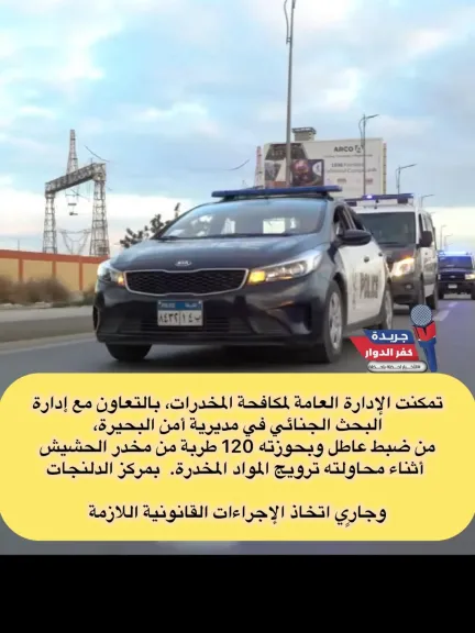 ضبط مواطن وبحوزته 120 طربة لمخدر الحشيش قبل ترويجها بمركز الدلنجات